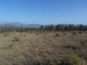 parcela-en-comuna-de-zapallar-10000-m2-1