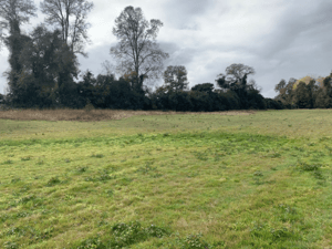 predio-natural-con-acceso-al-rio-quinque-1