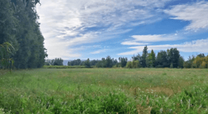 venta-de-parcela,-5000mt2-de-terreno,-camino-sa-1
