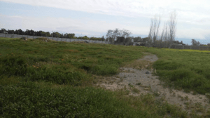 sitio-agricola,-comercial,-centrico-mas-de-820-1