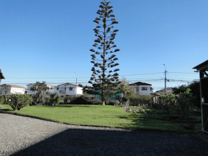 inversion-comercial-coquimbo-2000-m2-terreno-(-1