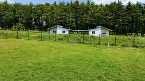 -3