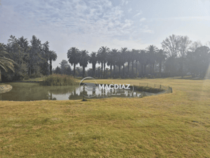 exclusivo-las-palmas-de-oliveto-club-de-golf-1