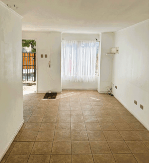 p20267874sih-1