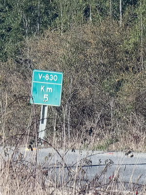 -4