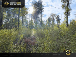 -4
