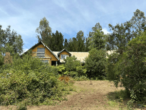 2-casas-para-remodelar-en-1-hectarea-lranco-(-1