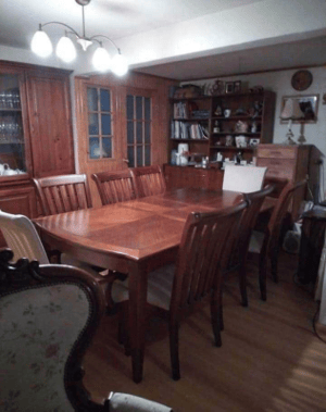 moderna-casa-ideal-para-familia-numerosa-(170174)-1