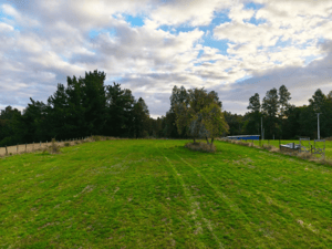 lindo-terreno-en-venta-sector-runca-valdivia-1