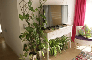 depto-amoblado-en-venta-3d2b-en-condominio-cami-1