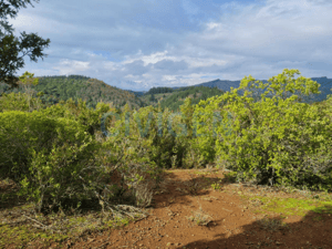 paz-y-tranquilidad-parcela-0,5ha-(170489)-1