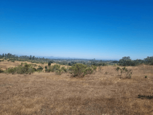 Terreno en Algarrobo - EXCELENTE TERRENO AGRÍCOLA DE 33 HECTÁREAS EN A...-2 Terreno en Algarrobo - EXCELENTE TERRENO AGRÍCOLA DE 33 HECTÁREAS EN A...-2