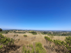 Terreno en Algarrobo - EXCELENTE TERRENO AGRÍCOLA DE 33 HECTÁREAS EN A...-3 Terreno en Algarrobo - EXCELENTE TERRENO AGRÍCOLA DE 33 HECTÁREAS EN A...-3