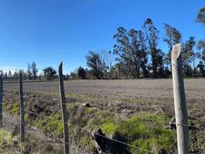 Terreno en Linares - Linares camino a Palmilla acciones de agua (170...-3 Terreno en Linares - Linares camino a Palmilla acciones de agua (170...-3