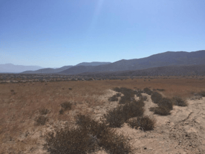 Terreno en Vallenar - SE VENDE TERRENO EN VALLENAR - 15 HCTAS-5 Terreno en Vallenar - SE VENDE TERRENO EN VALLENAR - 15 HCTAS-5
