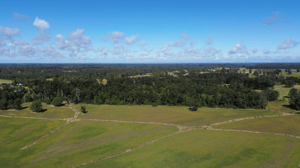 Terreno en Puyehue - Amplia Propiedad Agricola Puyehue (171450)-4 Terreno en Puyehue - Amplia Propiedad Agricola Puyehue (171450)-4