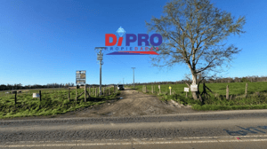 se-vende-sitio-industrial-orilla-de-camino-1