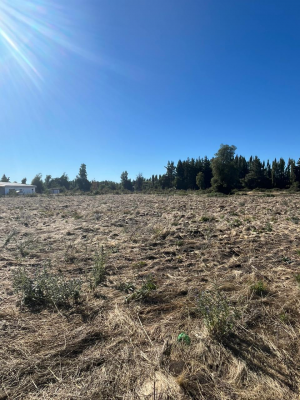 Parcela de Agrado en Los Angeles - VENTA PARCELA EN CONDOMINIO LOS CASTAÑOS, CAM E...-4 Parcela de Agrado en Los Angeles - VENTA PARCELA EN CONDOMINIO LOS CASTAÑOS, CAM E...-4