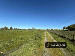 Parcela de Agrado en Parral - VENTA DE PARCELAS DE 5000M2 PARRAL SECTOR TALQUITA-4 Parcela de Agrado en Parral - VENTA DE PARCELAS DE 5000M2 PARRAL SECTOR TALQUITA-4
