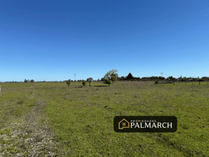 Parcela de Agrado en Parral - VENTA DE PARCELAS DE 5000M2 PARRAL SECTOR TALQUITA-5 Parcela de Agrado en Parral - VENTA DE PARCELAS DE 5000M2 PARRAL SECTOR TALQUITA-5