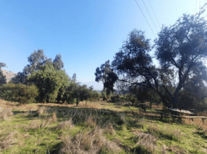 Terreno en La Calera - SITIO URBANO DE 12500 M2 CERCANOS A OPEN PLAZA ...-4 Terreno en La Calera - SITIO URBANO DE 12500 M2 CERCANOS A OPEN PLAZA ...-4