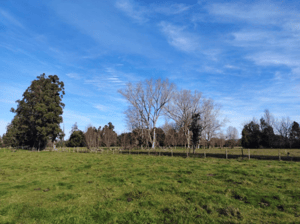 Terreno en Valdivia - 5874-4 Terreno en Valdivia - 5874-4