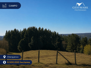 Terreno en Vilcún - VENTA TERRENO - SITIO 13MTS Vilcún-3 Terreno en Vilcún - VENTA TERRENO - SITIO 13MTS Vilcún-3