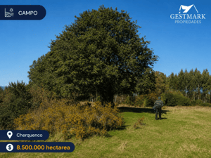 Terreno en Vilcún - VENTA TERRENO - SITIO 13MTS Vilcún-4 Terreno en Vilcún - VENTA TERRENO - SITIO 13MTS Vilcún-4