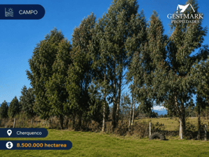Terreno en Vilcún - VENTA TERRENO - SITIO 13MTS Vilcún-5 Terreno en Vilcún - VENTA TERRENO - SITIO 13MTS Vilcún-5