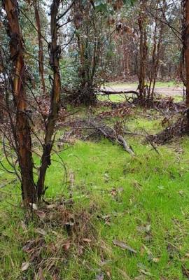 Terreno en San Nicolás - VENTA TERRENO - SITIO 50000MTS SAN NICOLÁS-2 Terreno en San Nicolás - VENTA TERRENO - SITIO 50000MTS SAN NICOLÁS-2