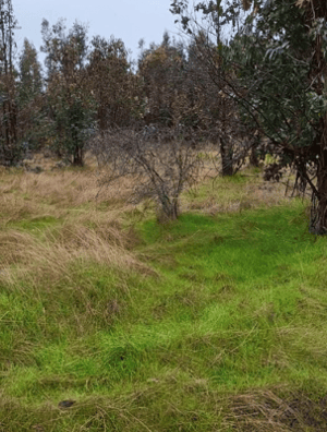 Terreno en San Nicolás - VENTA TERRENO - SITIO 50000MTS SAN NICOLÁS-5 Terreno en San Nicolás - VENTA TERRENO - SITIO 50000MTS SAN NICOLÁS-5