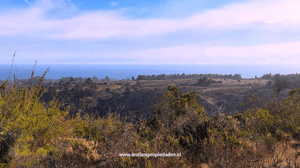 Terreno en Algarrobo - 524361-5 Terreno en Algarrobo - 524361-5