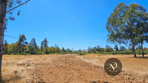 Terreno en Pitrufquén - ENP1-2 Terreno en Pitrufquén - ENP1-2