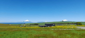Parcela de Agrado en Puerto Varas - Parcela con vista a los volcanes y Lago (75311)-3 Parcela de Agrado en Puerto Varas - Parcela con vista a los volcanes y Lago (75311)-3