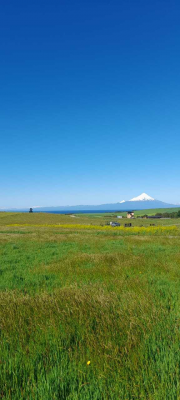 Parcela de Agrado en Puerto Varas - Parcela con vista a los volcanes y Lago (75311)-4 Parcela de Agrado en Puerto Varas - Parcela con vista a los volcanes y Lago (75311)-4