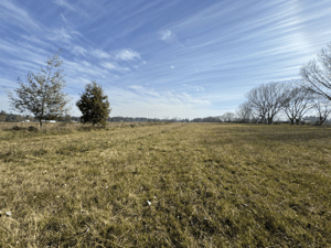 Terreno en Bulnes - Campo agrícola 45 has con riego acciones de agu...-5 Terreno en Bulnes - Campo agrícola 45 has con riego acciones de agu...-5