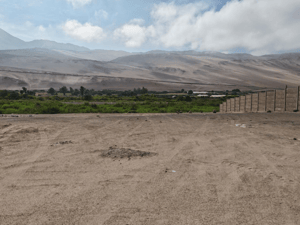Terreno en Arica - TERRENOS MAS DE MEDIA HECTAREA ANTES DE POCONCH...-2 Terreno en Arica - TERRENOS MAS DE MEDIA HECTAREA ANTES DE POCONCH...-2