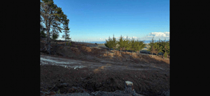 Terreno en Pichilemu - VENTA TERRENO - SITIO 5048MTS Pichilemu-2 Terreno en Pichilemu - VENTA TERRENO - SITIO 5048MTS Pichilemu-2