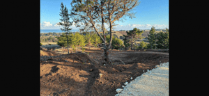 Terreno en Pichilemu - VENTA TERRENO - SITIO 5048MTS Pichilemu-5 Terreno en Pichilemu - VENTA TERRENO - SITIO 5048MTS Pichilemu-5