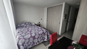 Departamento en Santiago - Moderno Estudio con Excelente Conectividad (173...-3 Departamento en Santiago - Moderno Estudio con Excelente Conectividad (173...-3
