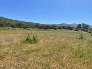 Parcela de Agrado en La Ligua - VENDE PARCELA 1,64 HA - SECTOR HUAQUEN LA LIGU...-3 Parcela de Agrado en La Ligua - VENDE PARCELA 1,64 HA - SECTOR HUAQUEN LA LIGU...-3