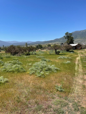 Parcela de Agrado en La Ligua - VENDE PARCELA 1,64 HA - SECTOR HUAQUEN LA LIGU...-5 Parcela de Agrado en La Ligua - VENDE PARCELA 1,64 HA - SECTOR HUAQUEN LA LIGU...-5