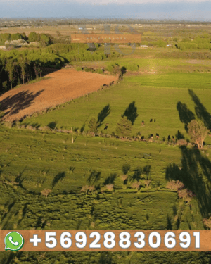 Terreno en San Nicolás - OPORTUNIDAD CAMPO 63,15 HA EN VENTA MONTELEÓN S...-2 Terreno en San Nicolás - OPORTUNIDAD CAMPO 63,15 HA EN VENTA MONTELEÓN S...-2