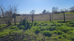 Parcela de Agrado en Vilcún - SE VENDE EXCLUSIVAS PARCELA CON CASA EN VILCÚN ...-3 Parcela de Agrado en Vilcún - SE VENDE EXCLUSIVAS PARCELA CON CASA EN VILCÚN ...-3