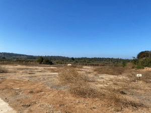 Parcela de Agrado en Algarrobo - VENTA DE PARCELA EN CONDOMINIO SAN GERÓNIMO, AL...-2 Parcela de Agrado en Algarrobo - VENTA DE PARCELA EN CONDOMINIO SAN GERÓNIMO, AL...-2