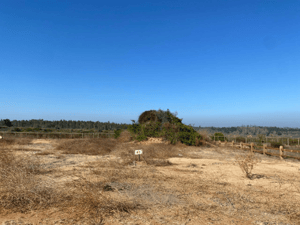 Parcela de Agrado en Algarrobo - VENTA DE PARCELA EN CONDOMINIO SAN GERÓNIMO, AL...-4 Parcela de Agrado en Algarrobo - VENTA DE PARCELA EN CONDOMINIO SAN GERÓNIMO, AL...-4