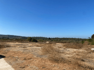 Parcela de Agrado en Algarrobo - VENTA DE PARCELA EN CONDOMINIO SAN GERÓNIMO, AL...-5 Parcela de Agrado en Algarrobo - VENTA DE PARCELA EN CONDOMINIO SAN GERÓNIMO, AL...-5