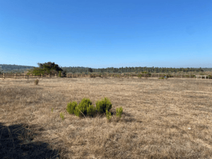 Parcela de Agrado en Algarrobo - VENTA DE PARCELA EN CONDOMINIO SAN GERÓNIMO, AL...-4 Parcela de Agrado en Algarrobo - VENTA DE PARCELA EN CONDOMINIO SAN GERÓNIMO, AL...-4