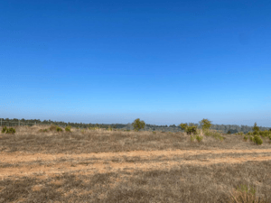 Parcela de Agrado en Algarrobo - VENTA DE PARCELA EN CONDOMINIO SAN GERÓNIMO, AL...-5 Parcela de Agrado en Algarrobo - VENTA DE PARCELA EN CONDOMINIO SAN GERÓNIMO, AL...-5