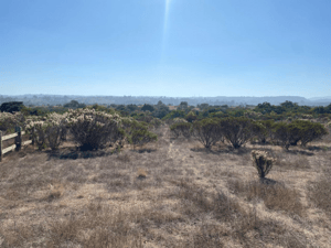 Parcela de Agrado en Algarrobo - VENTA DE PARCELA EN CONDOMINIO SAN GERÓNIMO, AL...-5 Parcela de Agrado en Algarrobo - VENTA DE PARCELA EN CONDOMINIO SAN GERÓNIMO, AL...-5